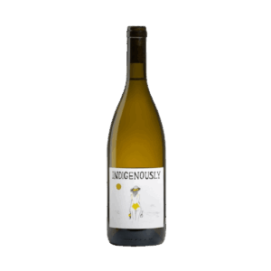 Ribolla Gialla Indigenously Vigna Lenuzza