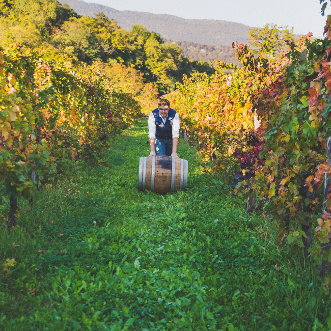 Friulano Indigenously Vigna Lenuzza - Billede 2